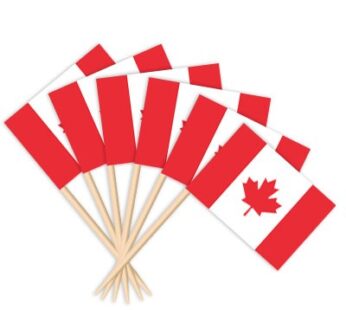 Canada Toothpick Flags
