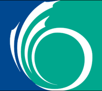 Ottawa Flag