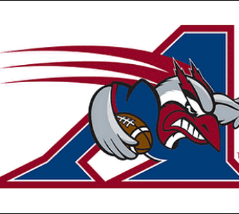 Montreal Alouettes Flag