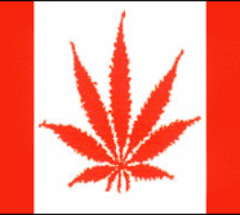 Marijuana Canada Flag