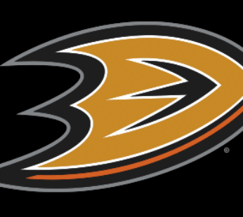 Anaheim Ducks Flag