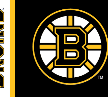Boston Bruins Flag