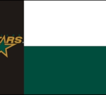 Dallas Stars Flag