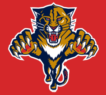 Florida Panthers Flag