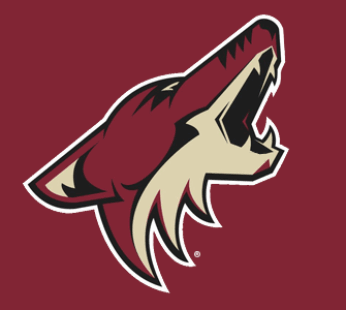 Arizona Coyotes Flag