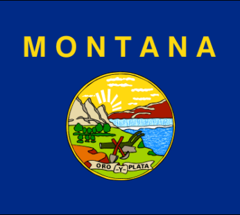 Montana State Flag