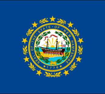 New Hampshire State Flag