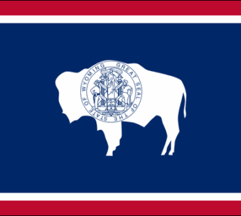 Wyoming State Flag