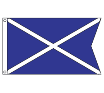 Membership Chairman Flag