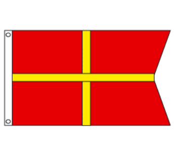Treasurer Flag