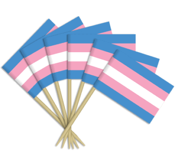 Transgender Toothpick Flags