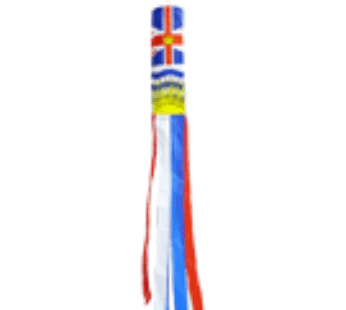 BC Windsock 60″