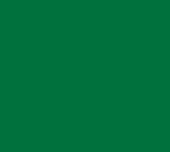 200D Irish Green Nylon (62″)
