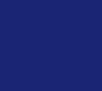 Blue Polyester Bunting, 62″