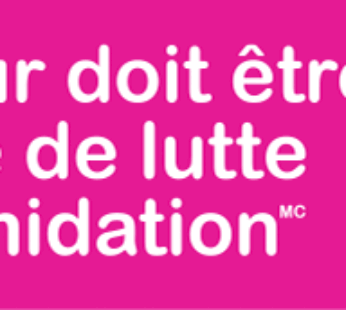 Anti-Bullying Bumper Stickers, French