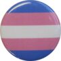 Transgender Buttons
