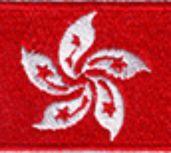 Hong Kong 1.5″x 2.5″ Crest