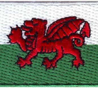 Wales 1.5″x 2.5″ Crest