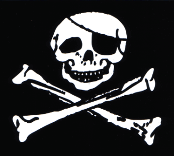 Jolly Roger 5″x8″ Vinyl Decal