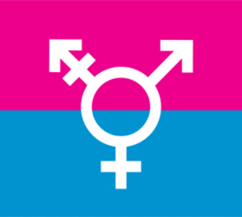 Canada Transgender Flag