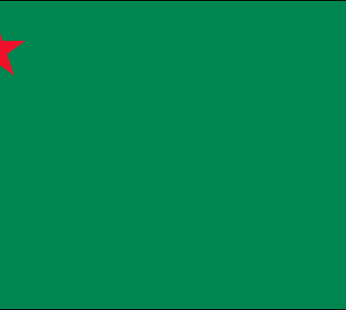 Benin Flags (1975-1990)