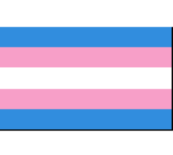 Transgender Flags
