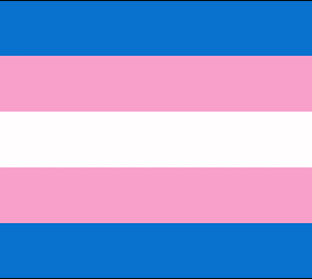 12″ x 18″ Transgender Flags – Boat Flags