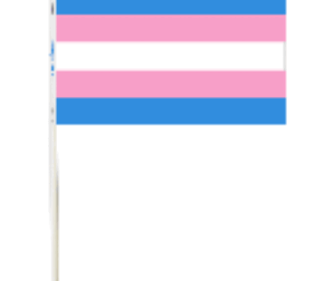 Transgender Paper Stick Flags, 4″ x 6″
