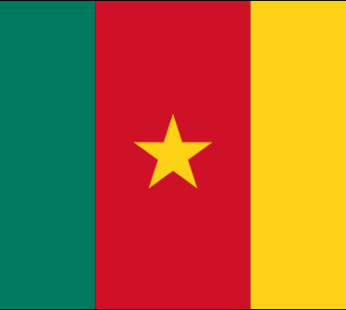 Cameroon Flags