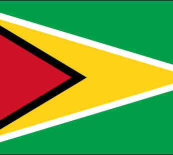 Guyana Flags