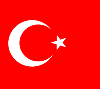 Turkey 3.25″x5″ Vinyl Decal