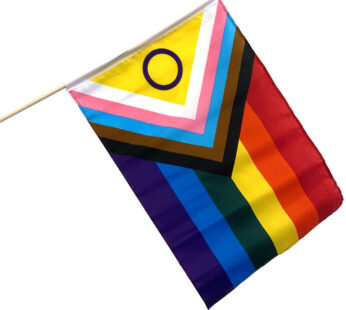 Intersex Inclusive Pride 12″x18″ Stick Flag