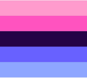 Omnisexual Flags – New!