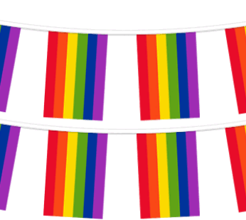 Pride Flag Pennant String, 40′