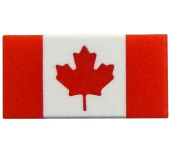 Canada Flag Plastic Pin