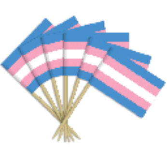 Transgender Toothpick Flags