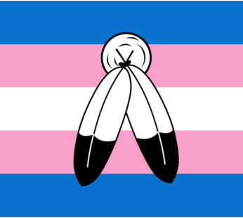 Two Spirit Transgender Flag